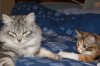 DSC01903.JPG