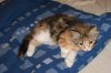 DSC01907.JPG