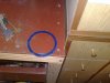 23042010463.jpg